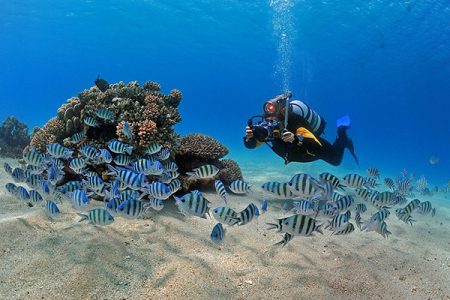 Marmaris Diving Tour