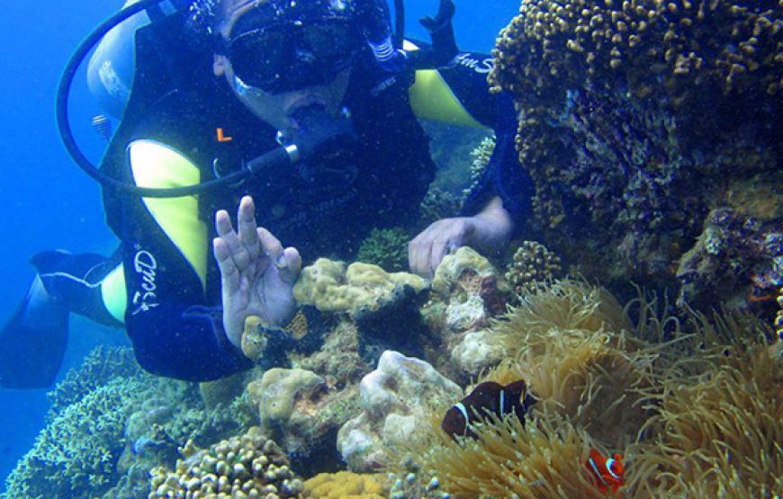 Marmaris Diving Tour